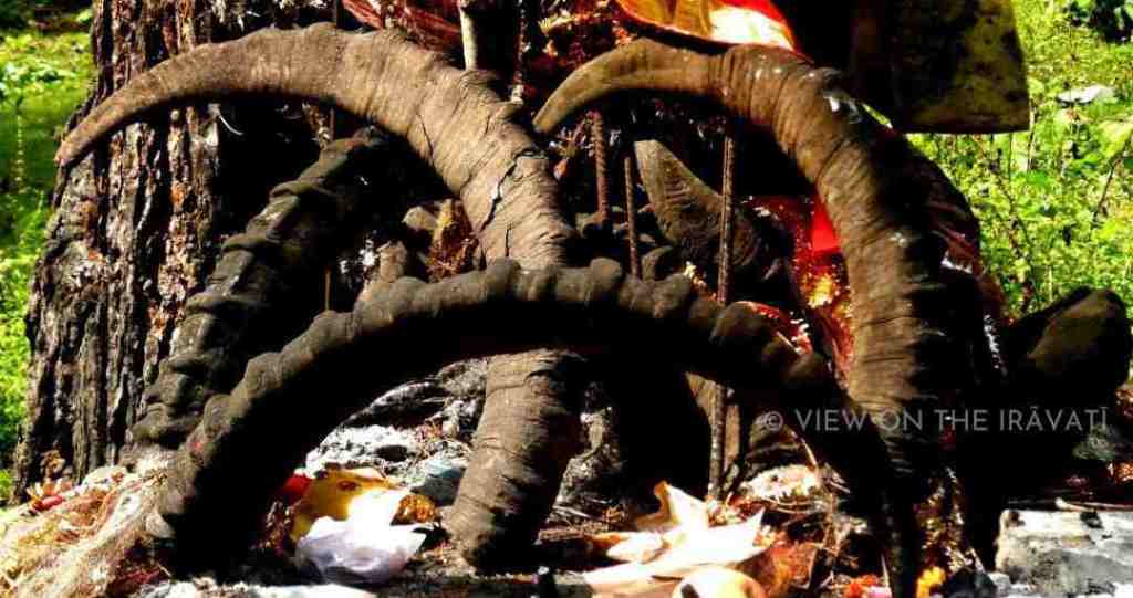 Shrine to Goddess with ibex horns in Riyalī