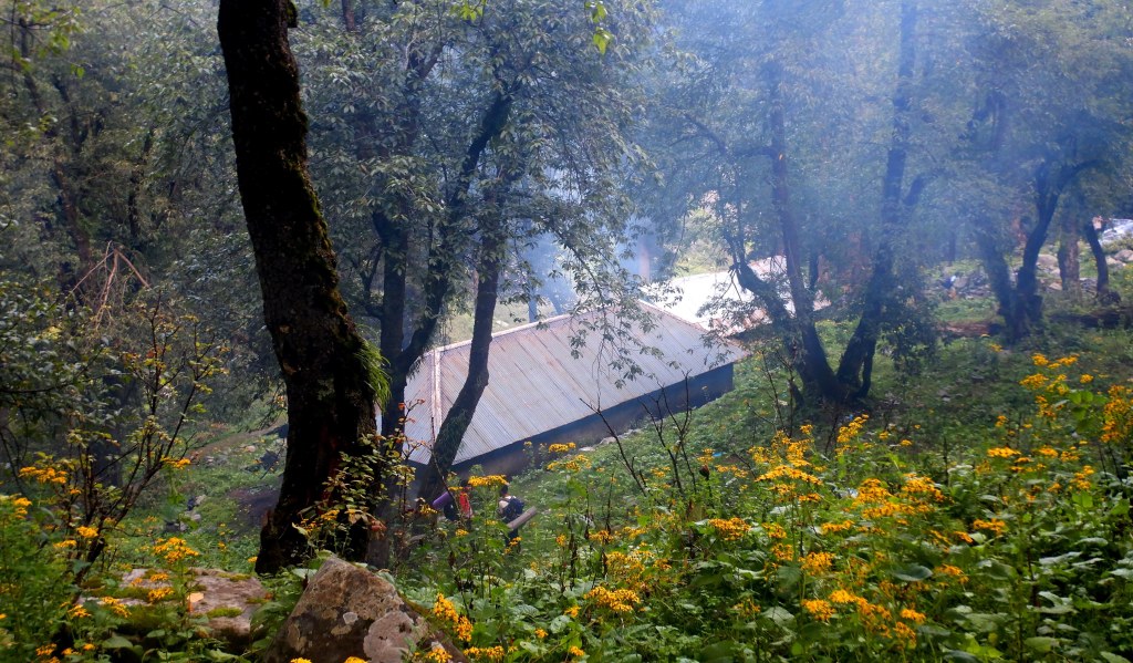 Yellow flowers and dharamshala in Riyali on the way to Khundi Mata