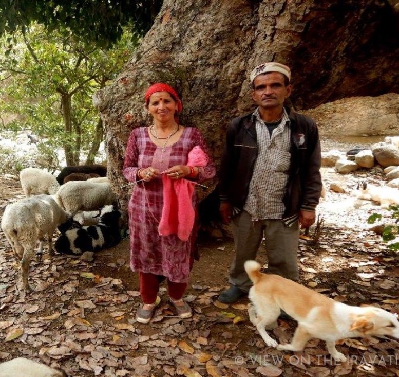 Gaddi couple with their flock in Himachal Pradesh - their son is getting married.