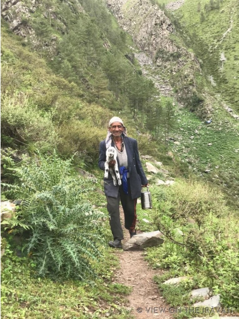 Gaddi shepherd carrying baby goat